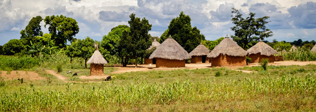 Noah Jigsaw Puzzle Typical Ugandan huts. Most inhabitants live in thatched huts with mud and wattle walls. During the rainy season, it is very difficult to keep the huts stable and dry panorama 1000 pieces