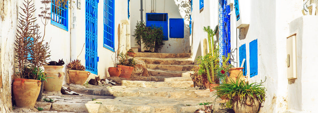 Noah Jigsaw Puzzle The white-blue city Sidi Bou said, Tunisia. Eastern fairy tale with French charm panorama 1000 pieces