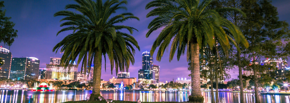 Noah Jigsaw Puzzle Night at Lake Eola Orlando, Florida. Long Exposure photography in a beautiful night panorama 1000 pieces