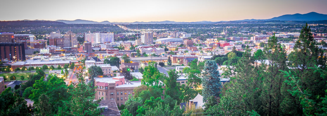 Noah Jigsaw Puzzle Spokane Washington city skyline and streets panorama 1000 pieces