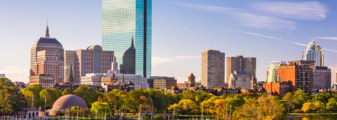 Noah Jigsaw Puzzle Boston, Massachusetts, USA City Skyline at the river panorama 1000 pieces