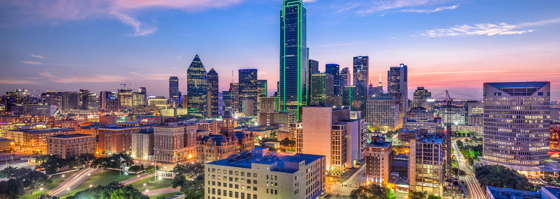Noah Jigsaw Puzzle Dallas, Texas, USA Downtown skyline panorama 1000 pieces