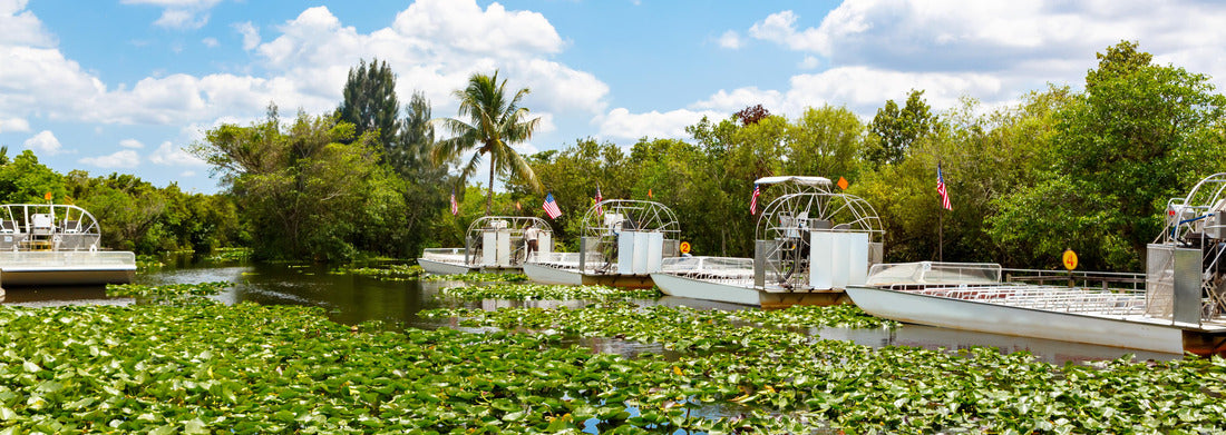 Noah Jigsaw Puzzle Florida wetland, Airboat ride at Everglades National Park in USA. Popular place for tourists, wild nature and animals panorama 1000 pieces
