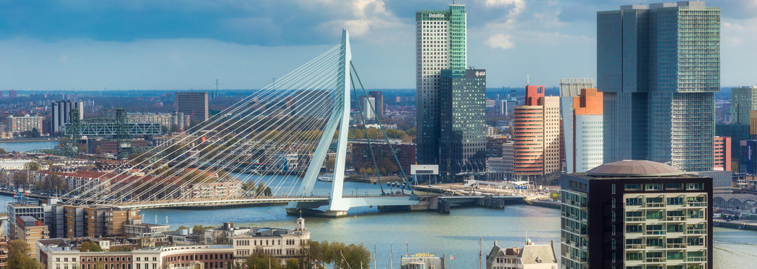 Noah Jigsaw Puzzle Overview of Rotterdam city from the Euromast tower panorama 1000 pieces