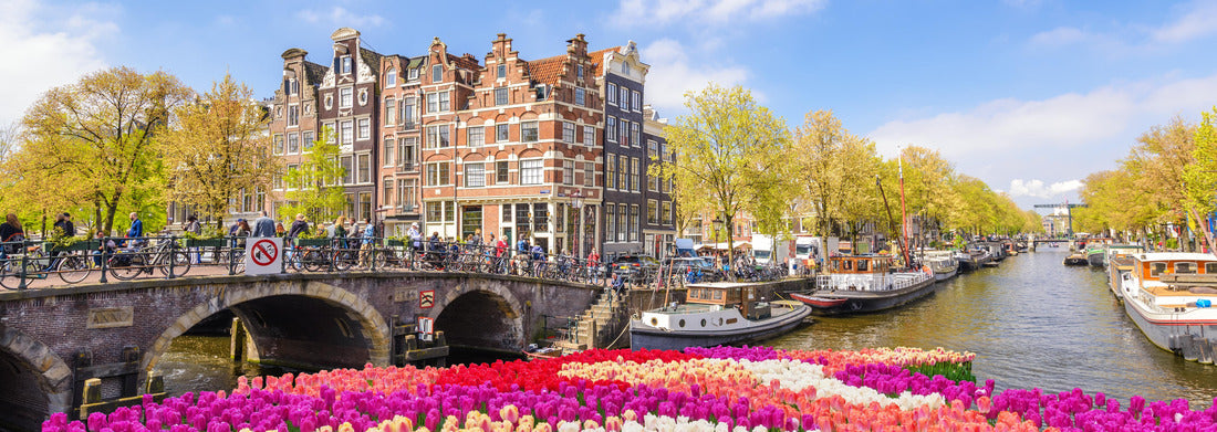 Noah Jigsaw Puzzle Amsterdam Netherlands, city skyline at the canal with spring tulips panorama 1000 pieces