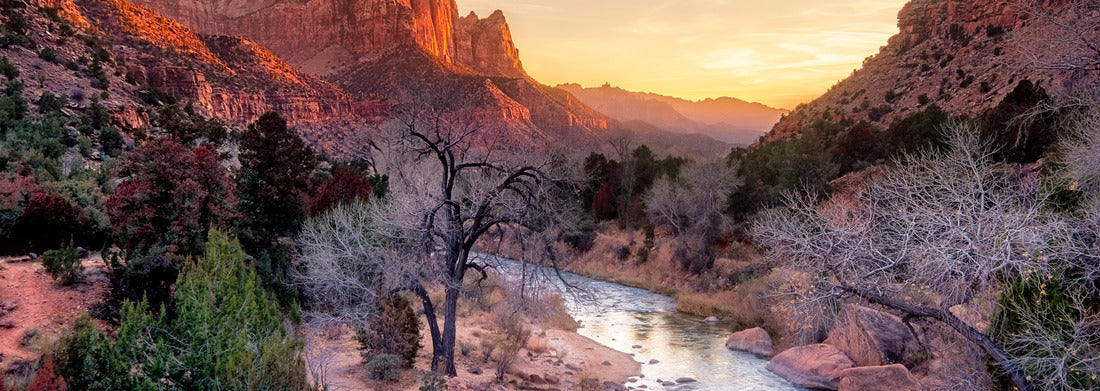 Noah Jigsaw Puzzle Zion national park late autumn landscape view with Watchman peak, Utah, USA panorama 1000 pieces