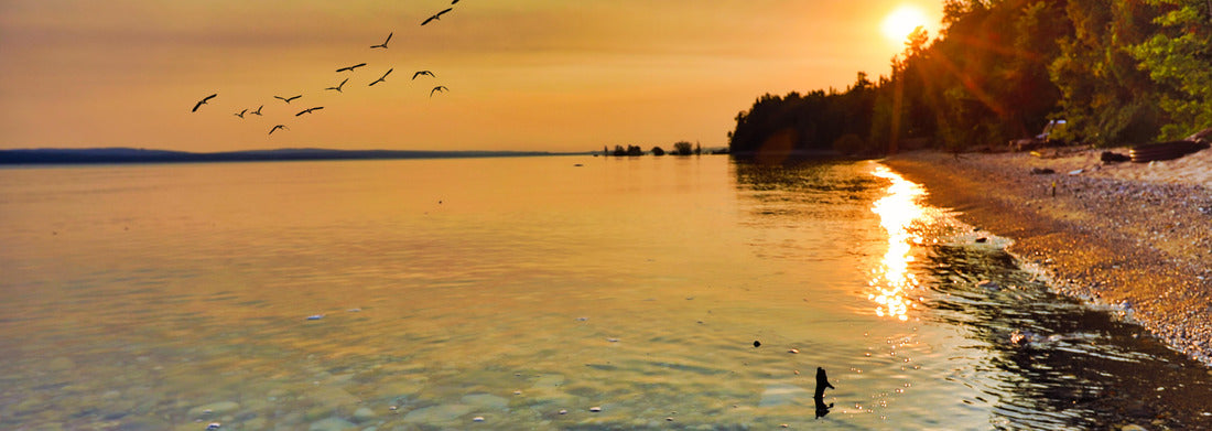 Noah Jigsaw Puzzle Enjoy the view of Lake Michigan at sunrise and sunset. This view is located between Petoskey and Charlevoix Michigan panorama 1000 pieces