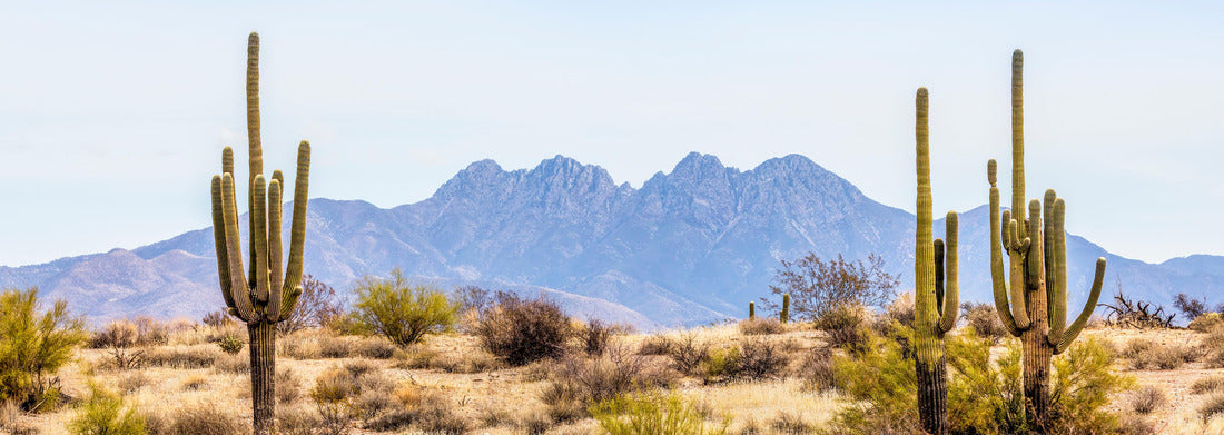 Noah Jigsaw Puzzle Four Peaks, a prominent landmark of the Mazatzal Mountains on the eastern skyline of Phoenix, Arizona, is framed by a tall saguaro cacti in the desert panorama 1000 pieces