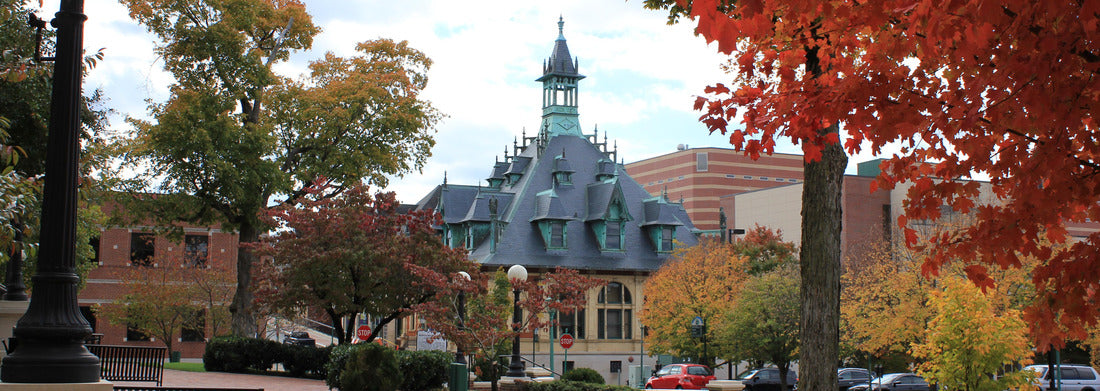 Noah Jigsaw Puzzle Clarksville, Tennessee Museum panorama 1000 pieces