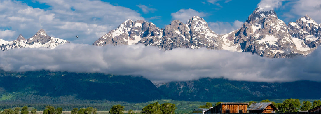 Noah Jigsaw Puzzle Grand Teton Mountains with low clouds. Grand Teton National Park, Wyoming, USA panorama 1000 pieces