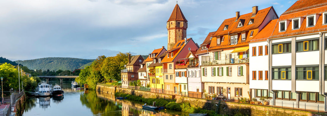 Noah Jigsaw Puzzle Wertheim, Castle, Tower, Germany panorama 1000 pieces