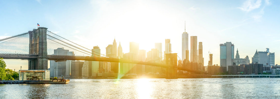 Noah Jigsaw Puzzle New York City, Skyline, Manhattan, USA panorama 1000 pieces