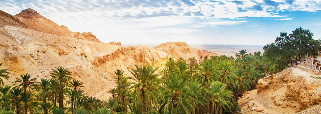 Noah Jigsaw Puzzle Panoramic view of the mountain oasis Chebika. Sahara Desert, Tunisia panorama 1000 pieces
