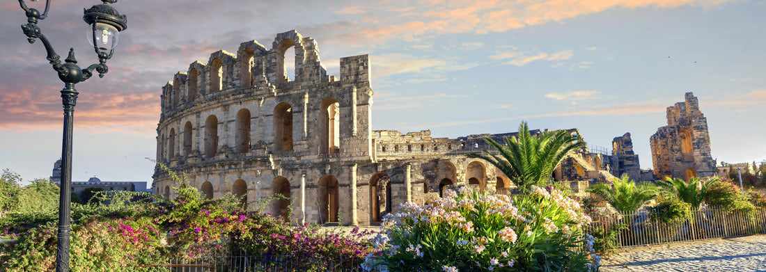 Noah Jigsaw Puzzle Panoramic view of the ancient Roman amphitheater in El Djem. Gouverneur of Mahdia, Tunisia, North Africa panorama 1000 pieces