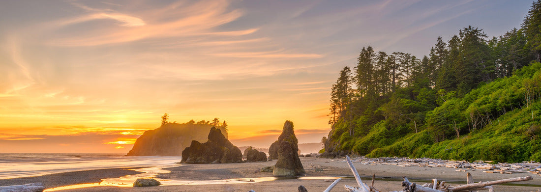 Noah Jigsaw Puzzle Olympic National Park, Washington, USA at Ruby Beach with piles of deadwood panorama 1000 pieces