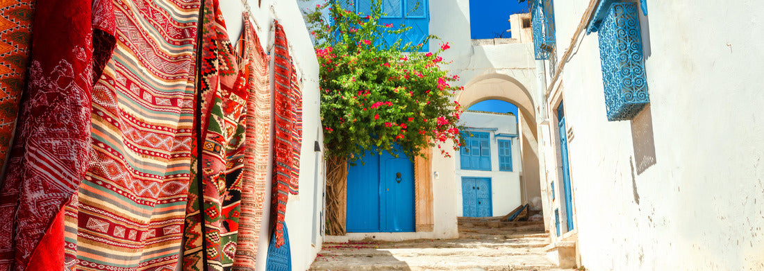Noah Jigsaw Puzzle Street in white blue town Sidi Bou Said. Tunisia, North Africa panorama 1000 pieces