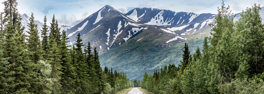 Noah Jigsaw Puzzle Mountain bike and train trail in Denali National Park, Alaska panorama 1000 pieces