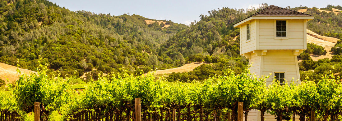 Noah Jigsaw Puzzle Part of vineyard with watchtower in Sonoma Valley, northern California, USA panorama 1000 pieces