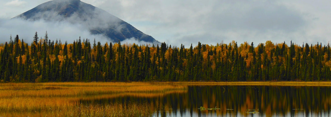 Noah Jigsaw Puzzle Reflections of Fall Colors in Lake Clark National Park in Alaska panorama 1000 pieces