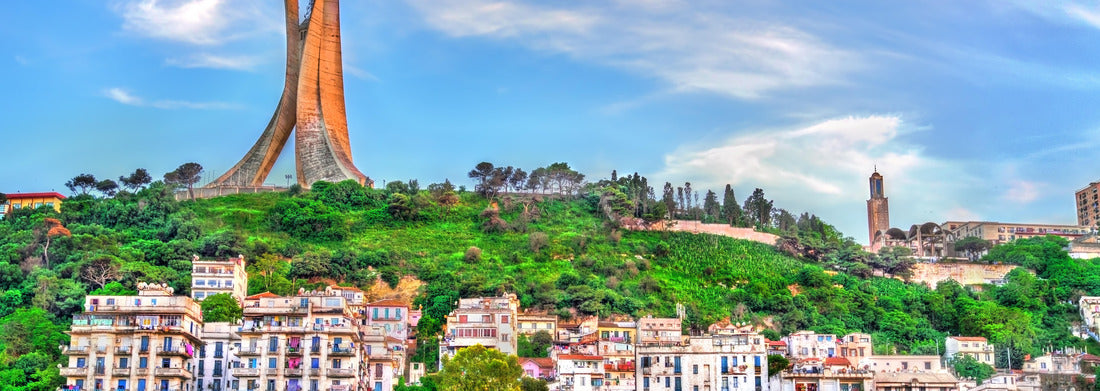Noah Jigsaw Puzzle Martyrs Memorial for Heroes killed during the Algerian war of independence. Algiers, North Africa panorama 1000 pieces