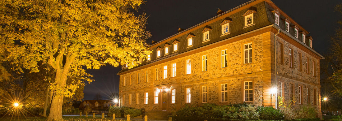 Noah Jigsaw Puzzle Langenselbold Castle, Langenselbold, Hessen, Germany panorama 1000 pieces