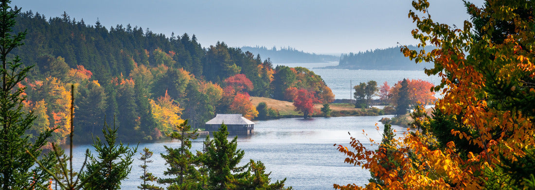 Noah Jigsaw Puzzle Autumn in Acadia National Park, Maine, USA panorama 1000 pieces
