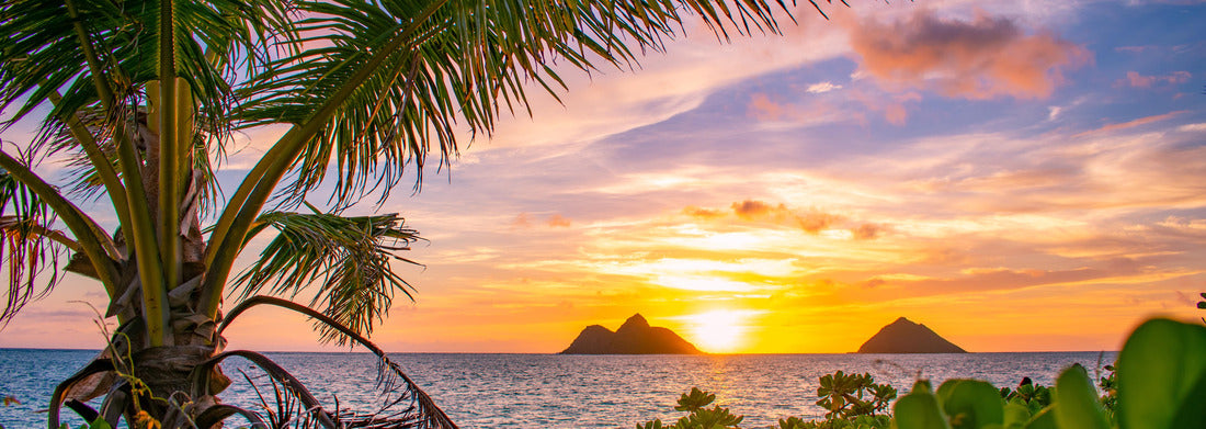 Noah Jigsaw Puzzle A glorious tropical sunrise over Lanikai Beach in Kailua, Oahu, Hawaii panorama 1000 pieces