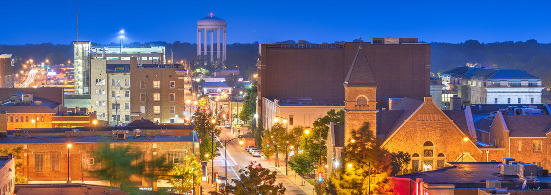 Noah Jigsaw Puzzle Columbia, Missouri, USA City Skyline downtown at dusk panorama 1000 pieces