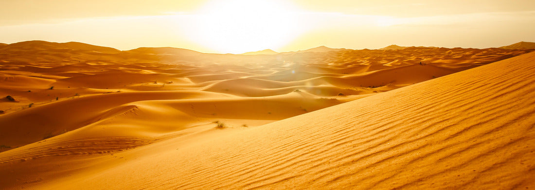 Noah Jigsaw Puzzle sunrise sahara desert dunes morocco merzouga panorama 1000 pieces