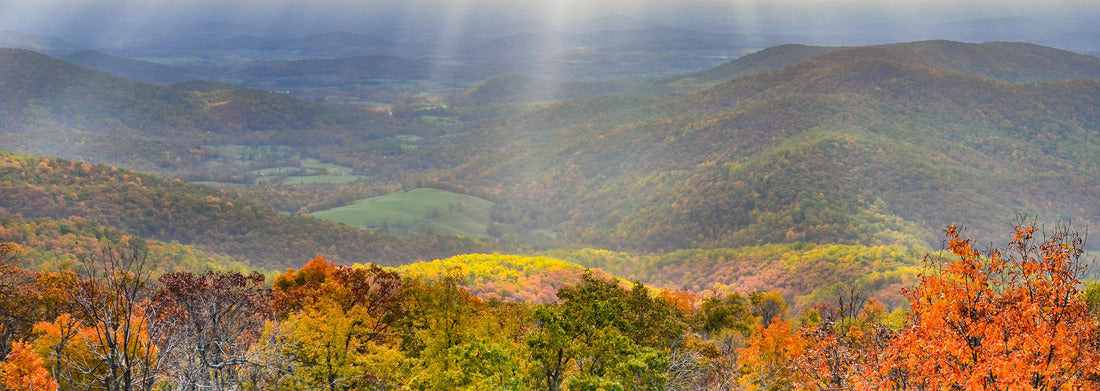 Noah Jigsaw Puzzle Shenandoah National Park in Autumn foliage - Virginia, United States of America panorama 1000 pieces