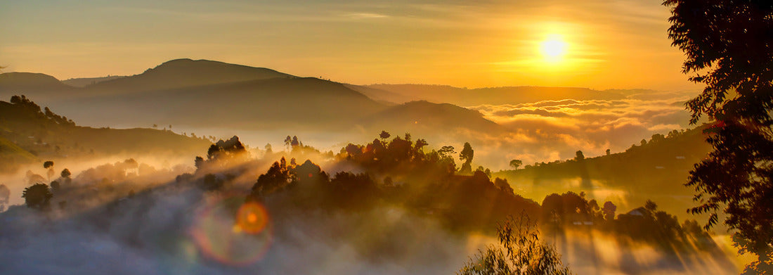Noah Jigsaw Puzzle Uganda sunrise with trees, hills, shadows and morning fog panorama 1000 pieces
