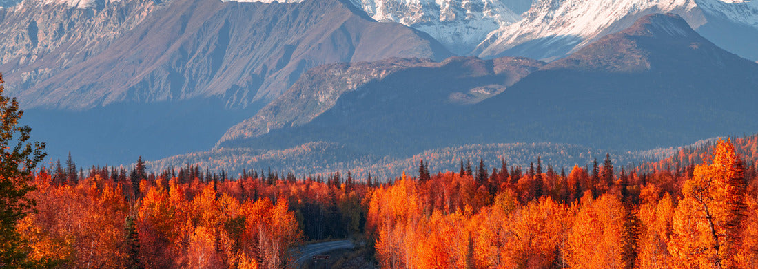 Denali, Mt Foraker and the Alaska range from the Parks Highway 1000pc Panoramic Puzzle