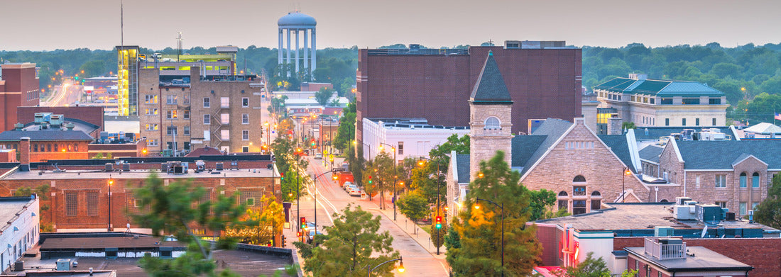 Noah Jigsaw Puzzle Columbia, Missouri, USA city skyline downtown at dusk panorama 1000 pieces