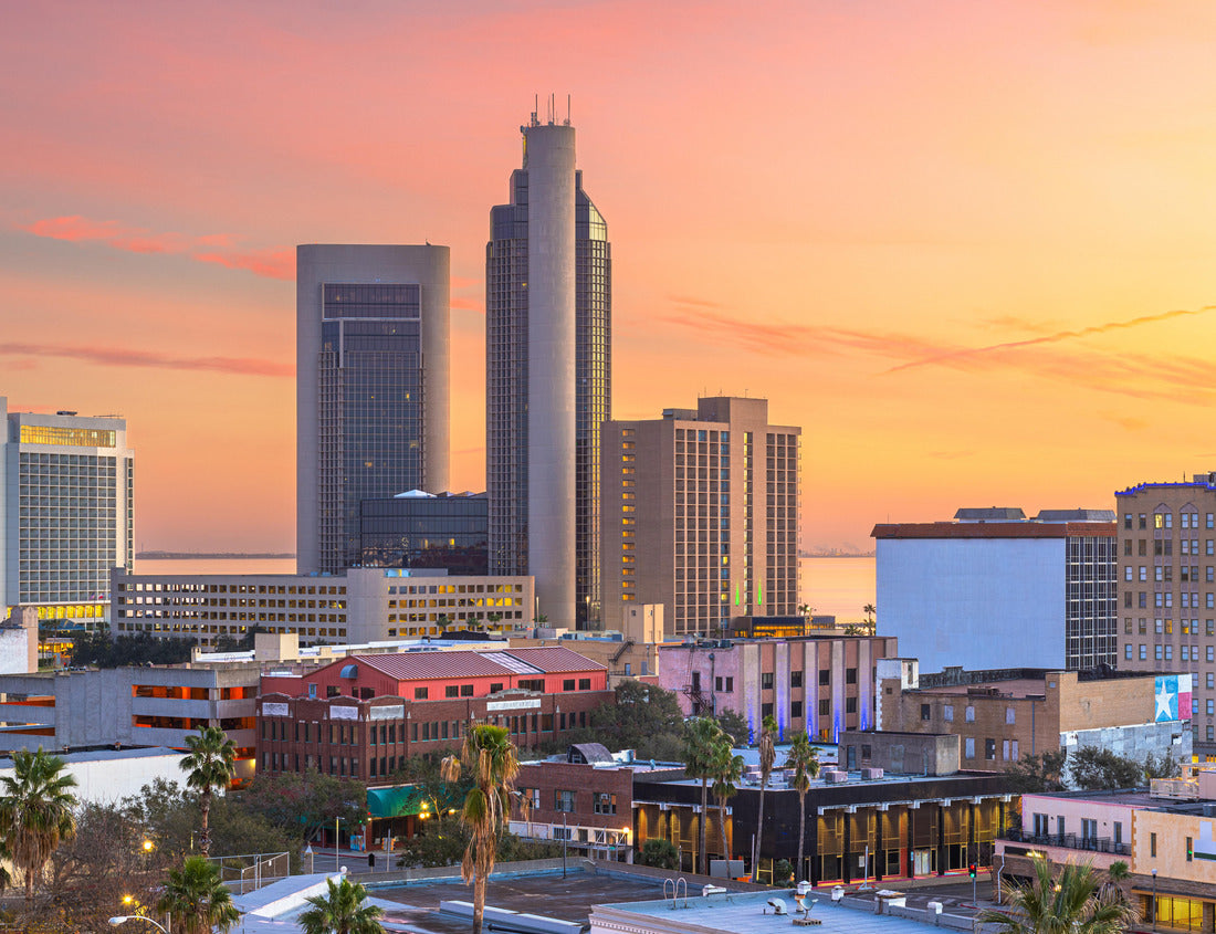 Noah Jigsaw Puzzle Corpus Christi, Texas, USA downtown city skyline at dawn 1000 pieces