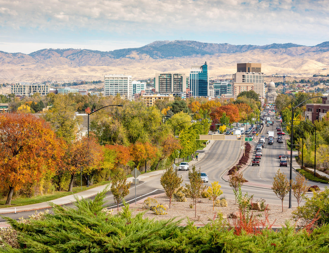 Noah Jigsaw Puzzle Boise Idaho street leading to the capital building in fall 1000 pieces
