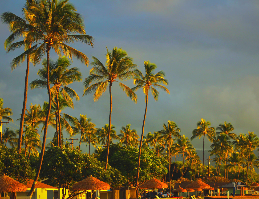 Noah Jigsaw Puzzle Beach front cabanas with palm trees in Ewa Beach Oahu Hawaii 1000 pieces