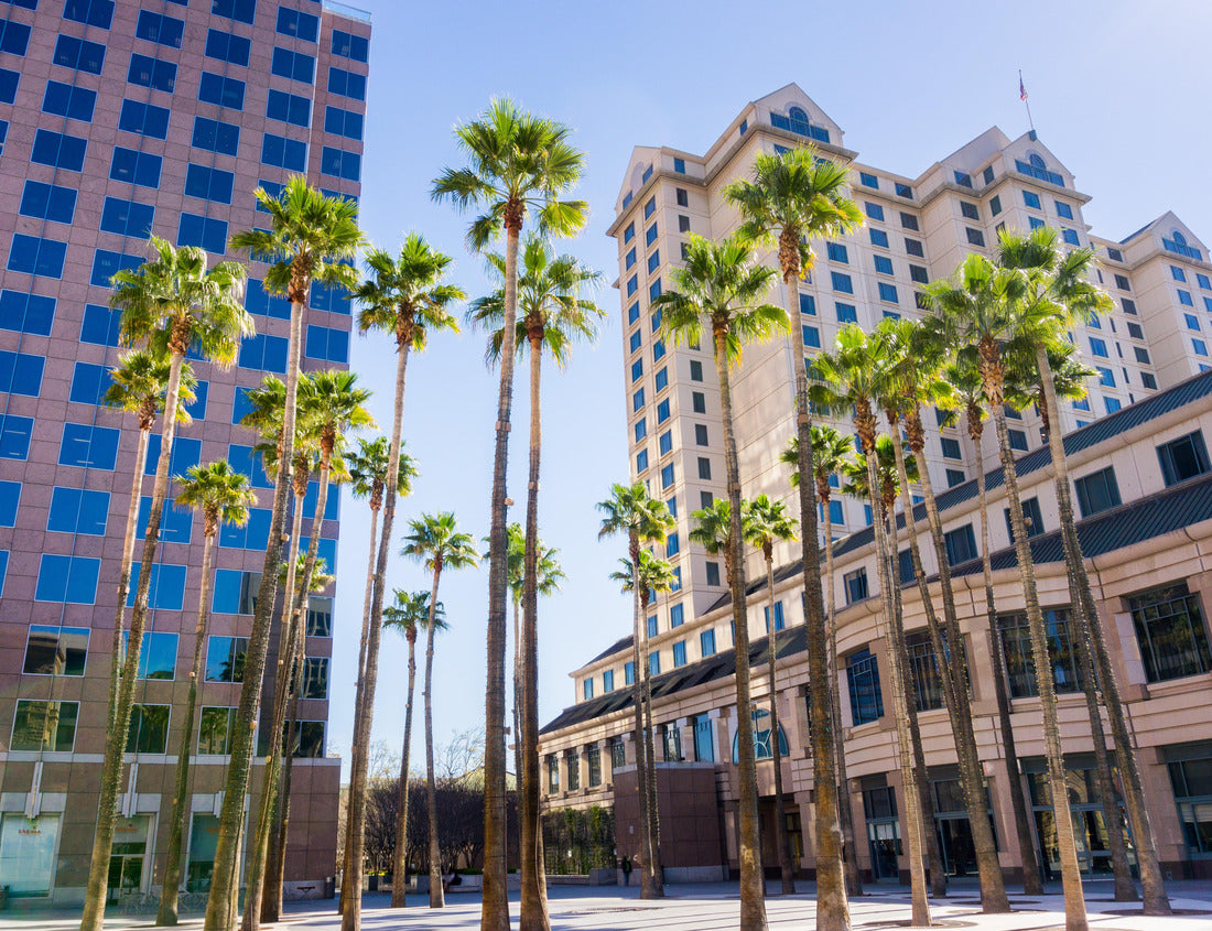 Noah Jigsaw Puzzle Urban landscape in downtown San José, Silicon Valley, California 1000 pieces