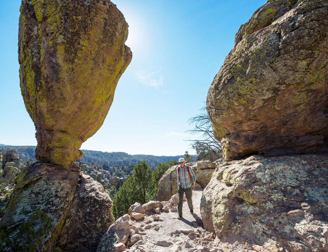 Noah Jigsaw Puzzle Unusual landscape at the Chiricahua National Monument, Arizona, USA 1000 pieces