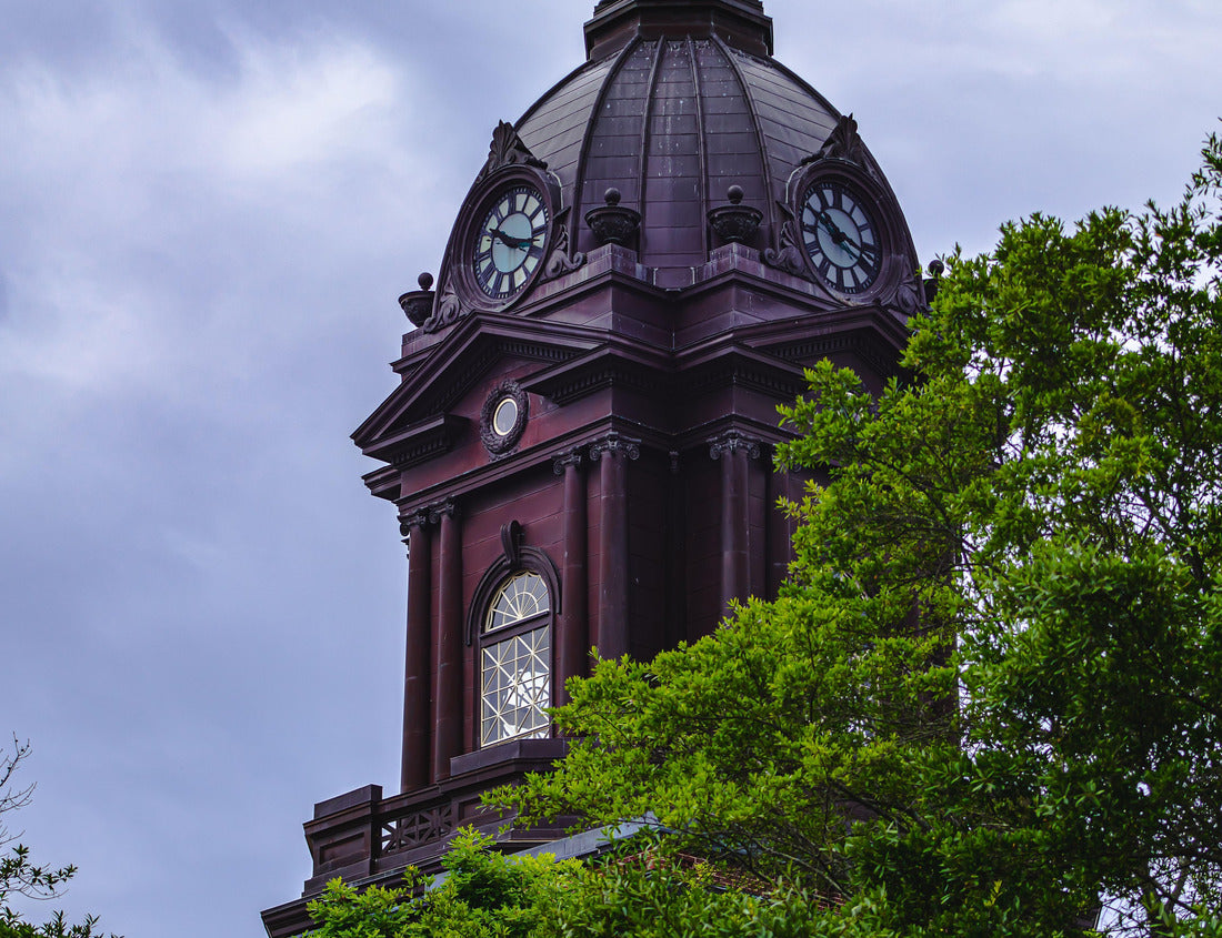 Noah Jigsaw Puzzle Der Uhrturm des Newnan, Georgia - Gerichtsgebäude hinter Bäumen mit blauem Himmel 1000 pieces