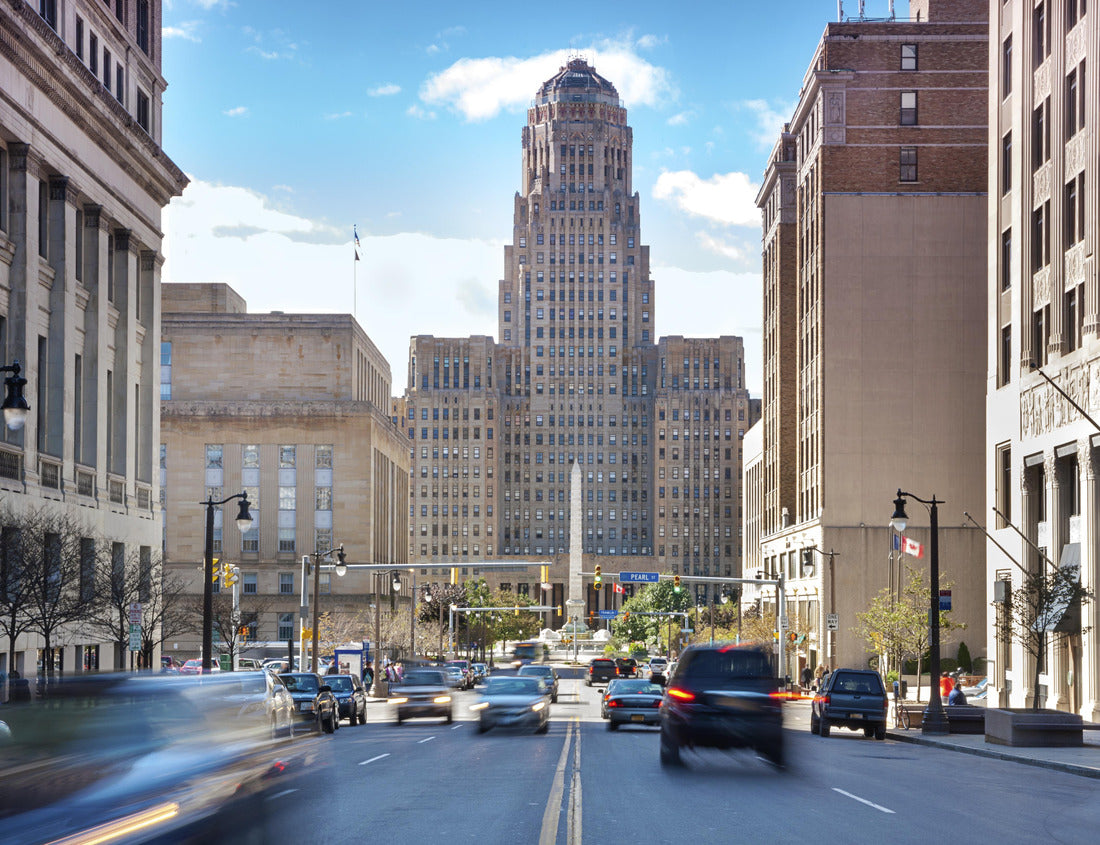 Noah Jigsaw Puzzle Buffalo is the second most populous city in the state of New York, behind New York City 1000 pieces