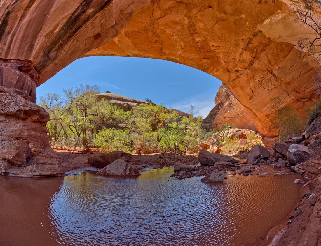 Noah Jigsaw Puzzle The Kachina Bridge at Natural Bridges National Monument Utah. It is named for the Hopi Kachina dancers 1000 pieces