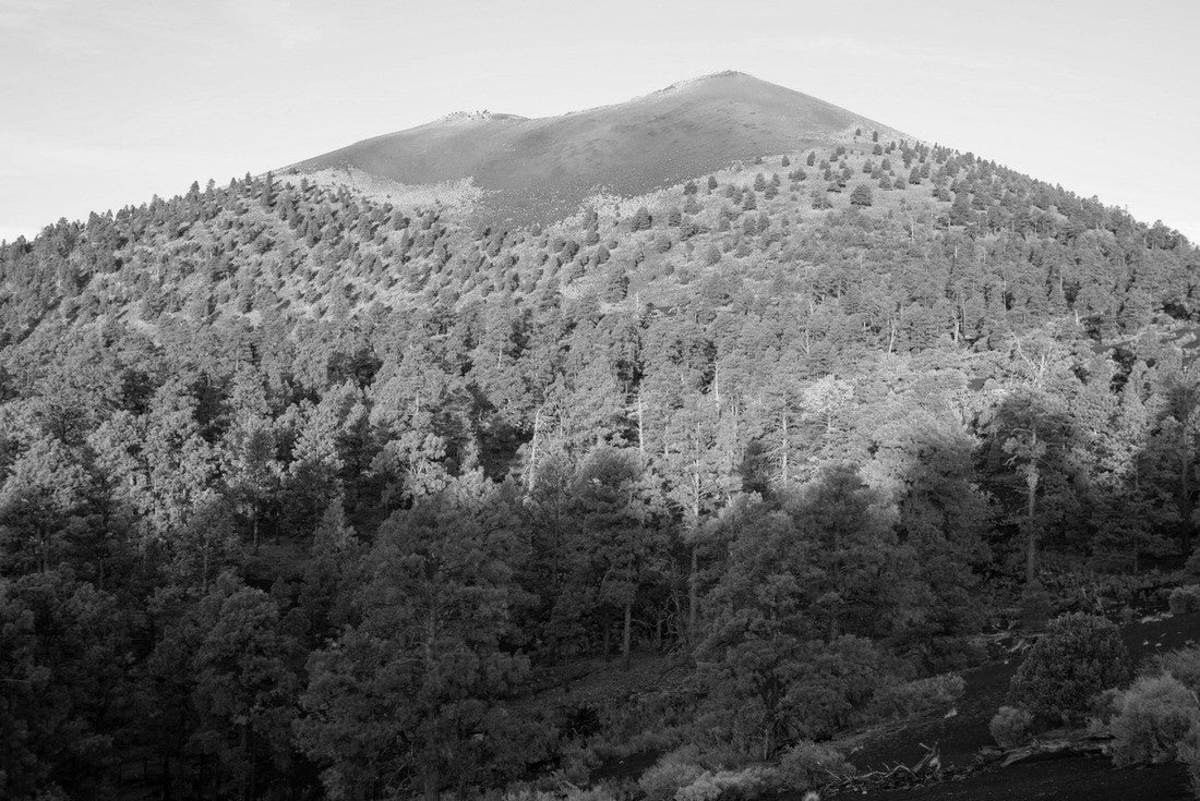 Noah Jigsaw Puzzle Sunrise in Sunset Crater Volcano National Monument, Arizona, USA in black white 2000 pieces