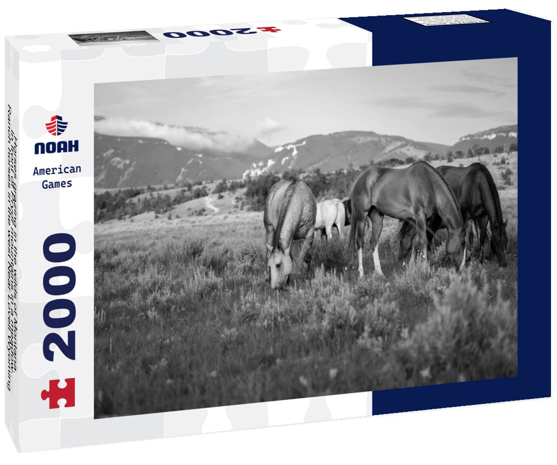 Horses grazing in the wilds of Montana. In front of Pryor mountains in a meadow. Ranch horses in the west Near Lovell Wyoming, and Billings Montana 2000pc PuzzleBlack and White