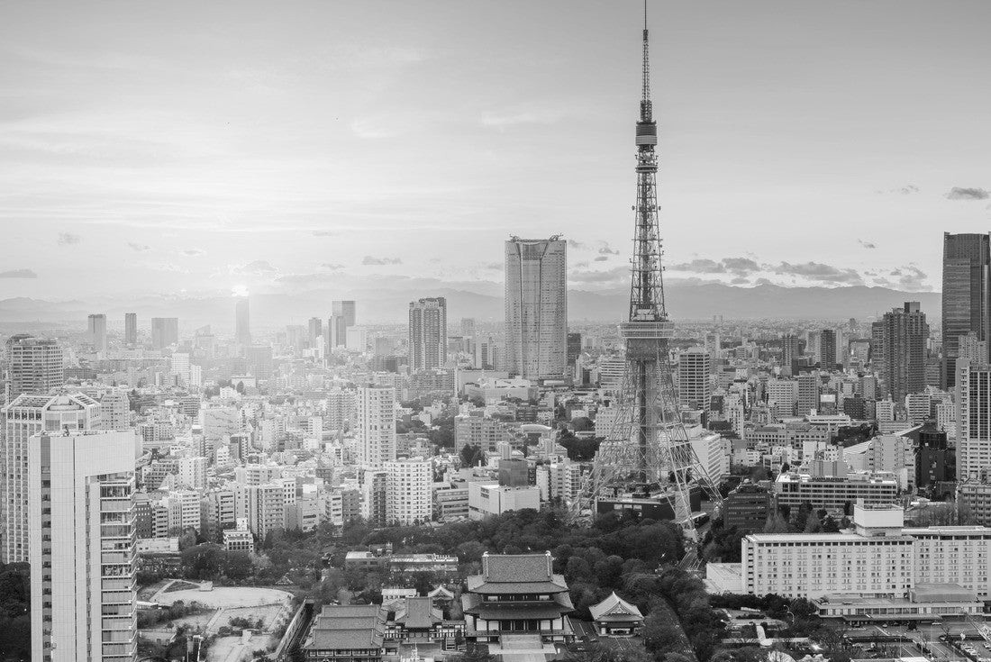 Noah Jigsaw Puzzle Tokyo, Japan modern urban skyline at sunset overlooking the tower in black white 2000 pieces