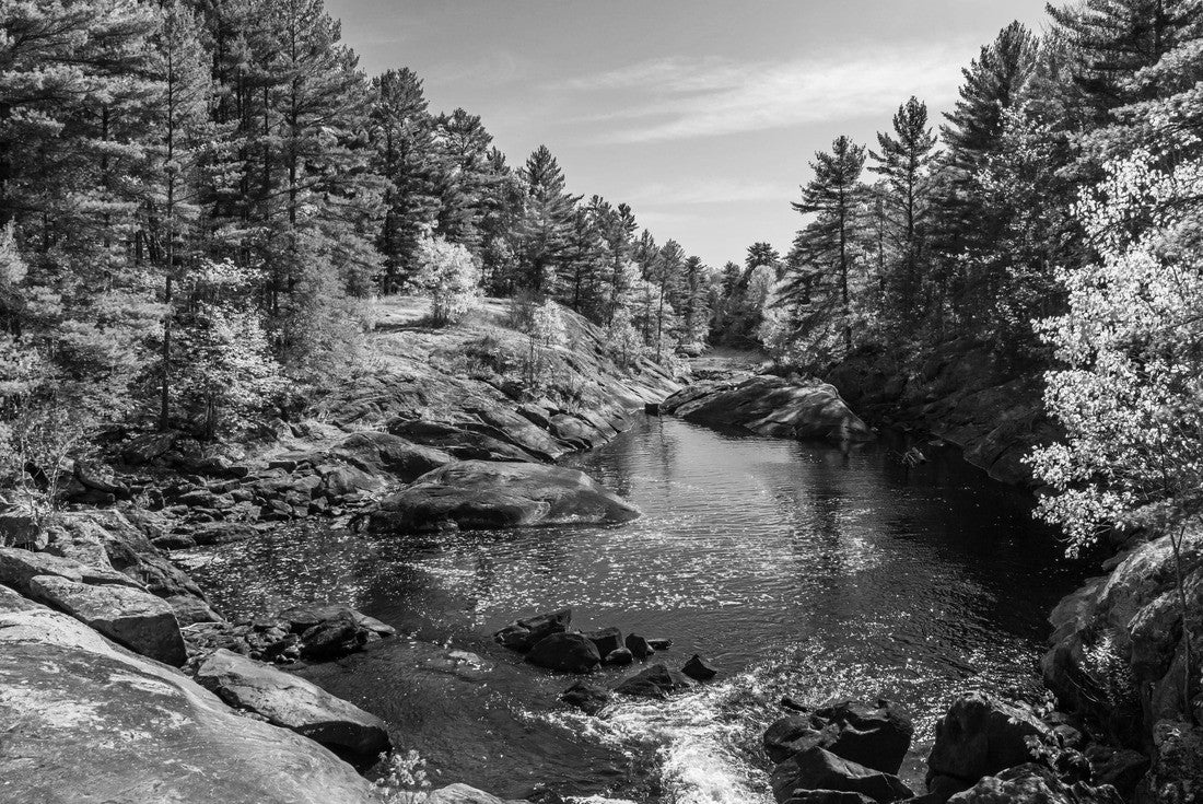 Queen Elizabeth II Wildlands Provincial Park Kawartha Lakes County Ontario Canada with beautiful, colorful forest with vibrant colors in the fall 2000pc PuzzleBlack and White