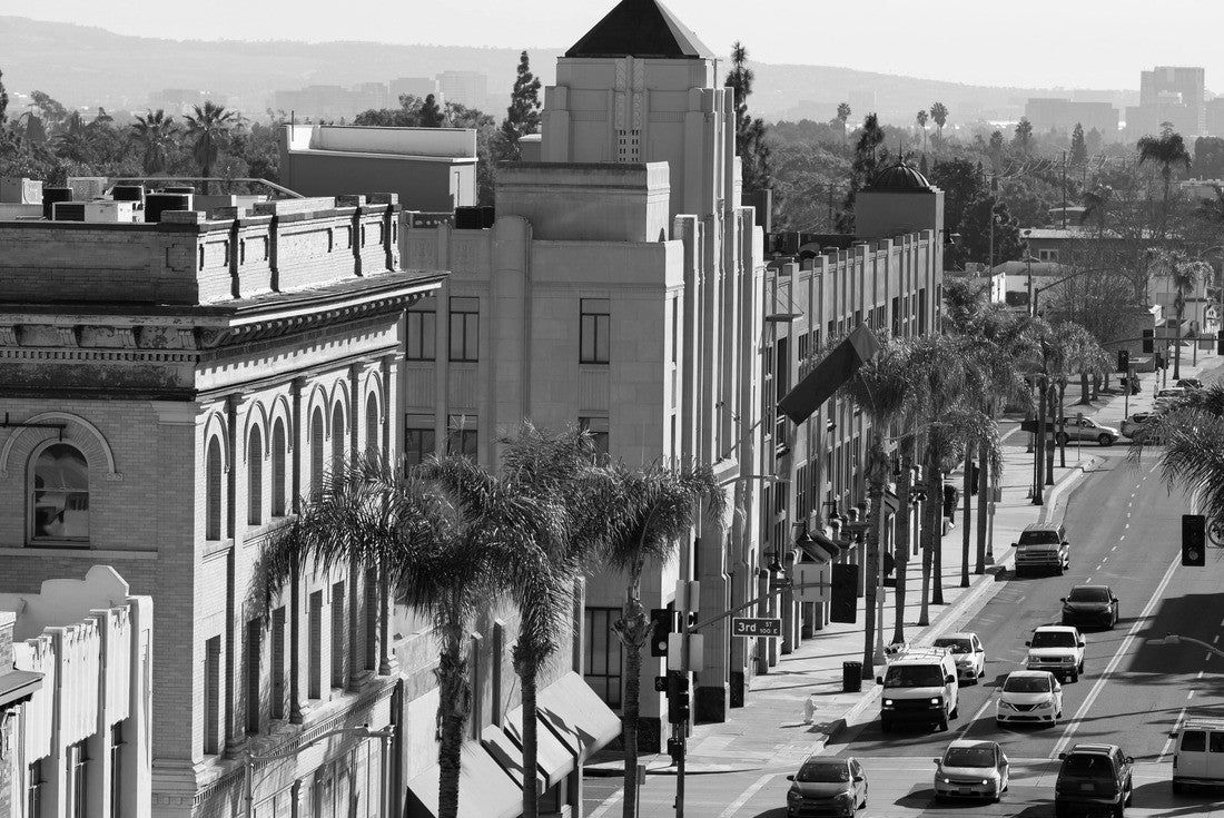 Sun shines on the historic district of Santa Ana, California 2000pc PuzzleBlack and White