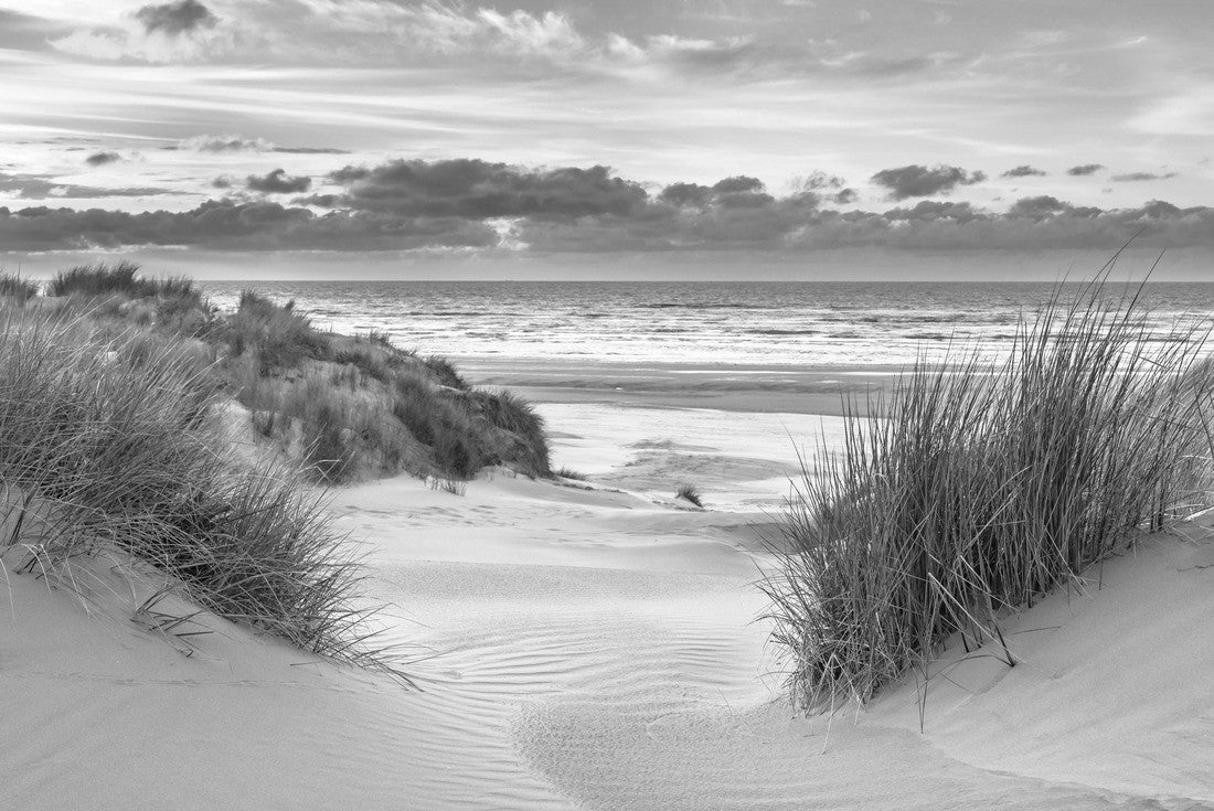 dune top over sunset in the North Sea from the island of Ameland, Friesland, Netherlands 2000pc PuzzleBlack and White