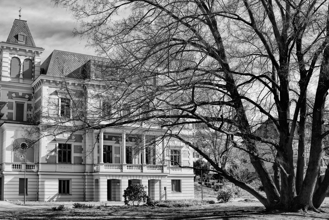 Erkner, Germany - back view of the town hall and the city park 2000pc PuzzleBlack and White