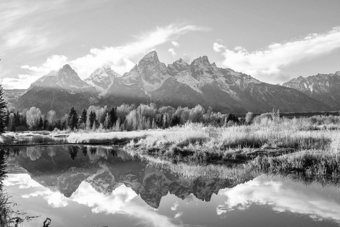 Noah Jigsaw Puzzle Schwabacher landing Grand Teton National Park in black white 2000 pieces
