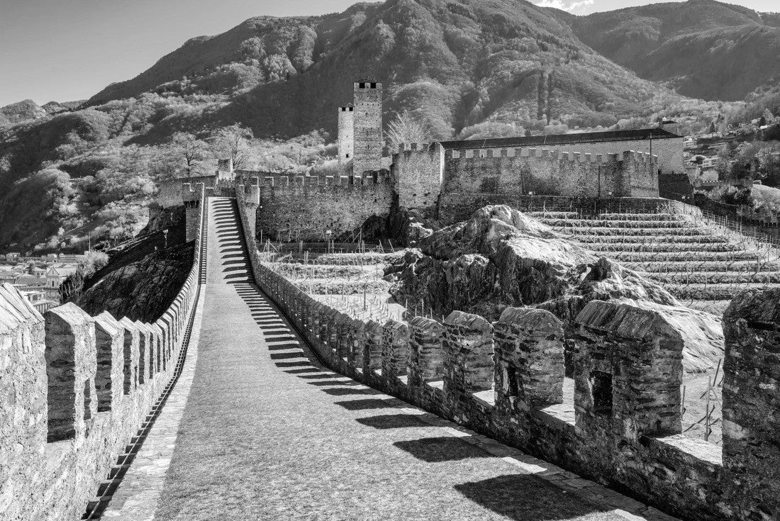 Noah Jigsaw Puzzle Walls and towers of Castelgrande, a castle in Bellinzona, a city in Ticino, Switzerland in black white 2000 pieces